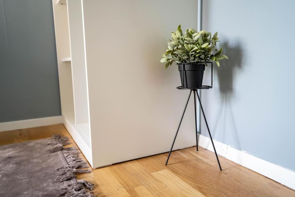 The Green House Of Stavanger Bnb 14 -Central, Sauna And Airport Shuttle Eksteriør bilde
